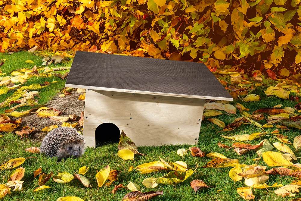 Igelhaus im Herbstlaub