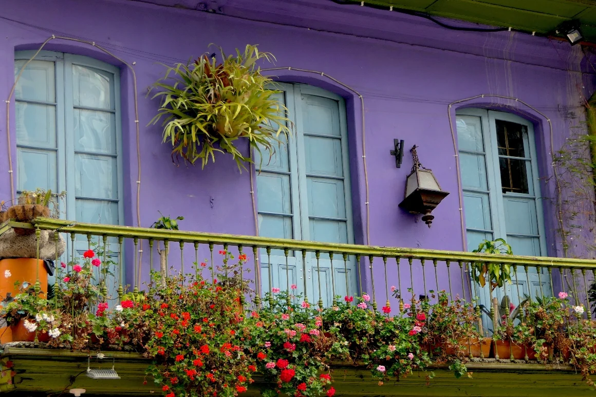 Lila Hausfassade mit Balkon und Blumen