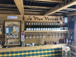 Bar im Gartenhaus