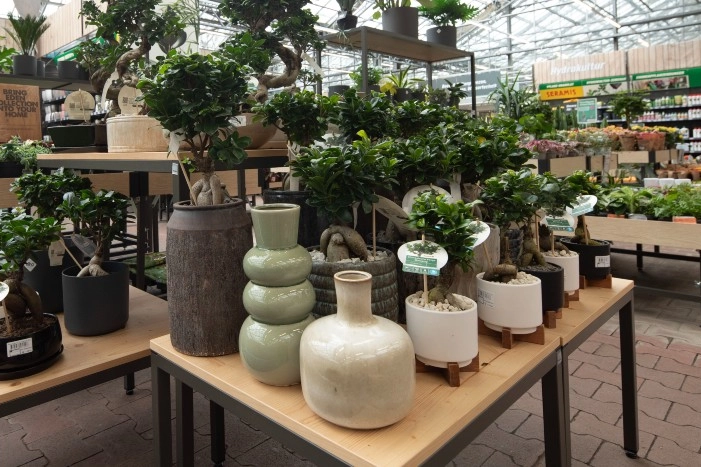 Verschiedene Bonsai-Bäumchen und Vasen auf Holztischen in einem Gartencenter.