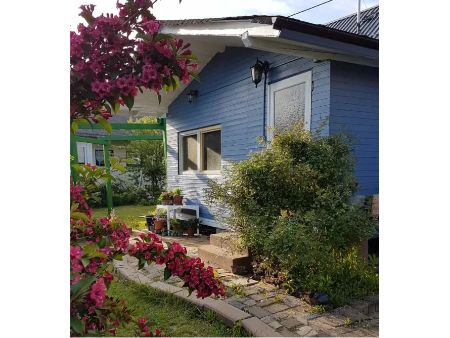 Blaues Gartenhaus mit Garten