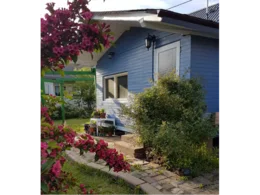 Blaues Gartenhaus mit Garten