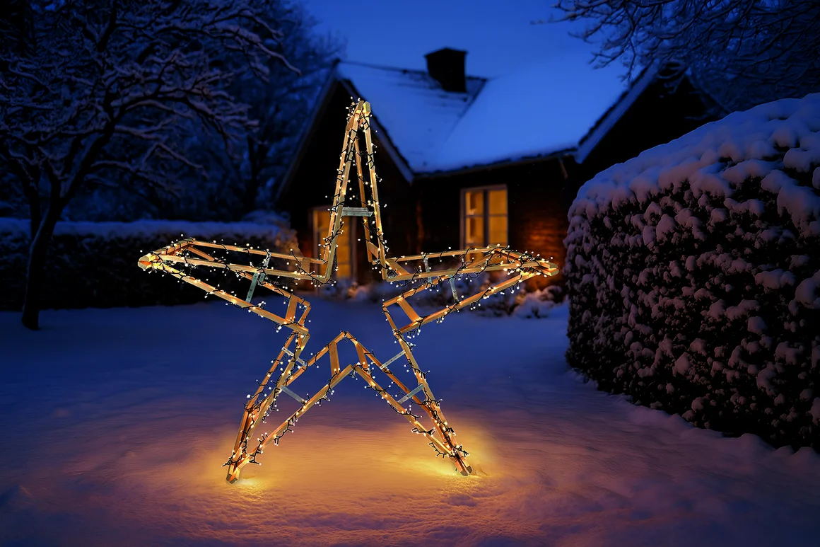 SBI Weihnachtsstern
