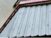 Hellblau gestrichene Holzfassade eines Gartenhauses