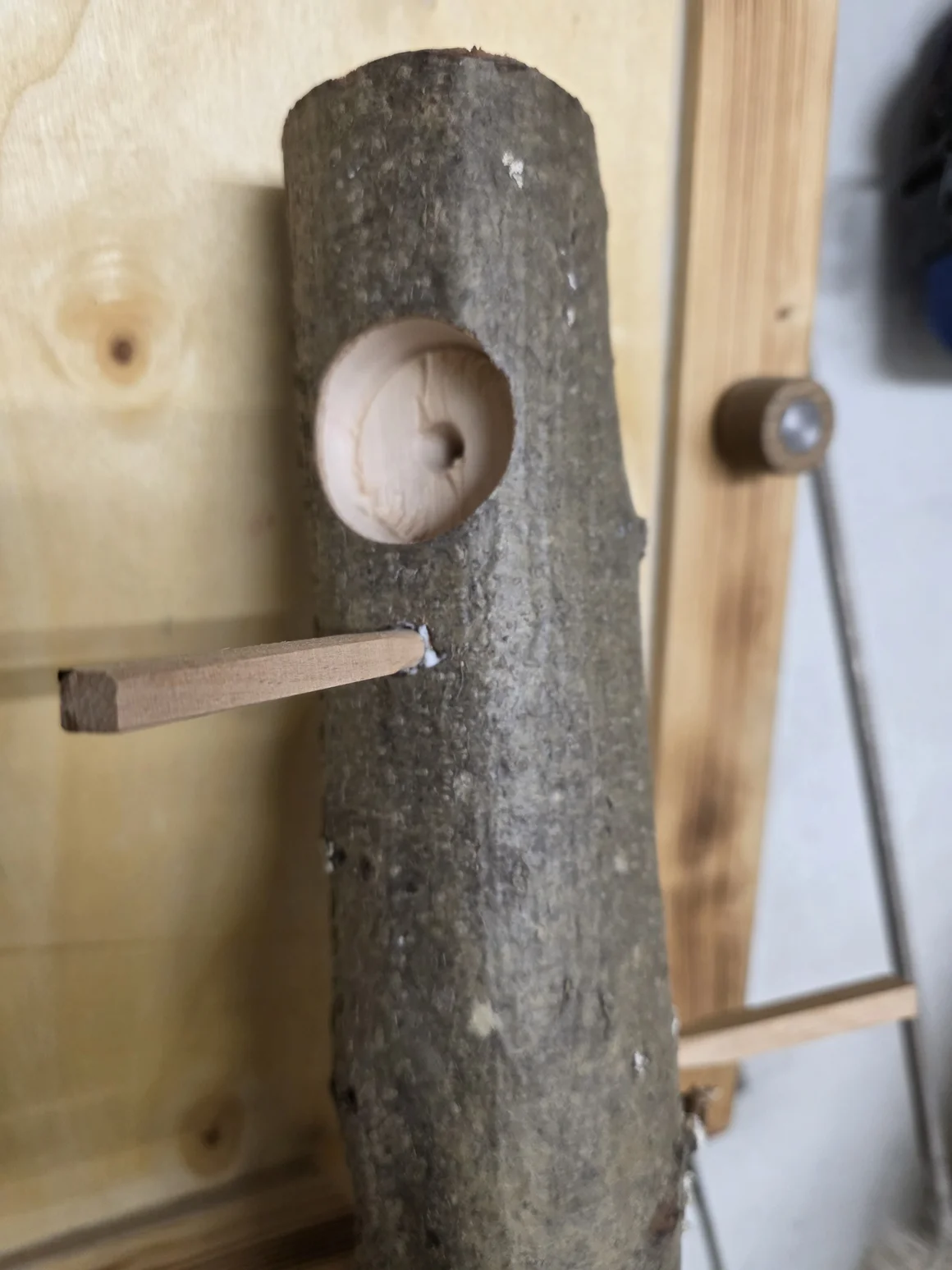 Ein bearbeiteter Ast mit einem gebohrten Loch und einem Holzstab.
