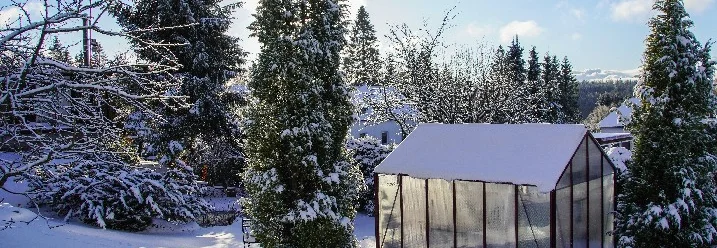 Schneebedeckter Garten mit Gewächshaus