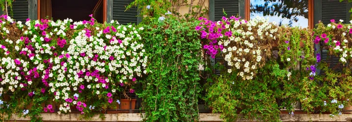 Ein Balkon mit vielen verschiedenen Pflanzen und Blumen