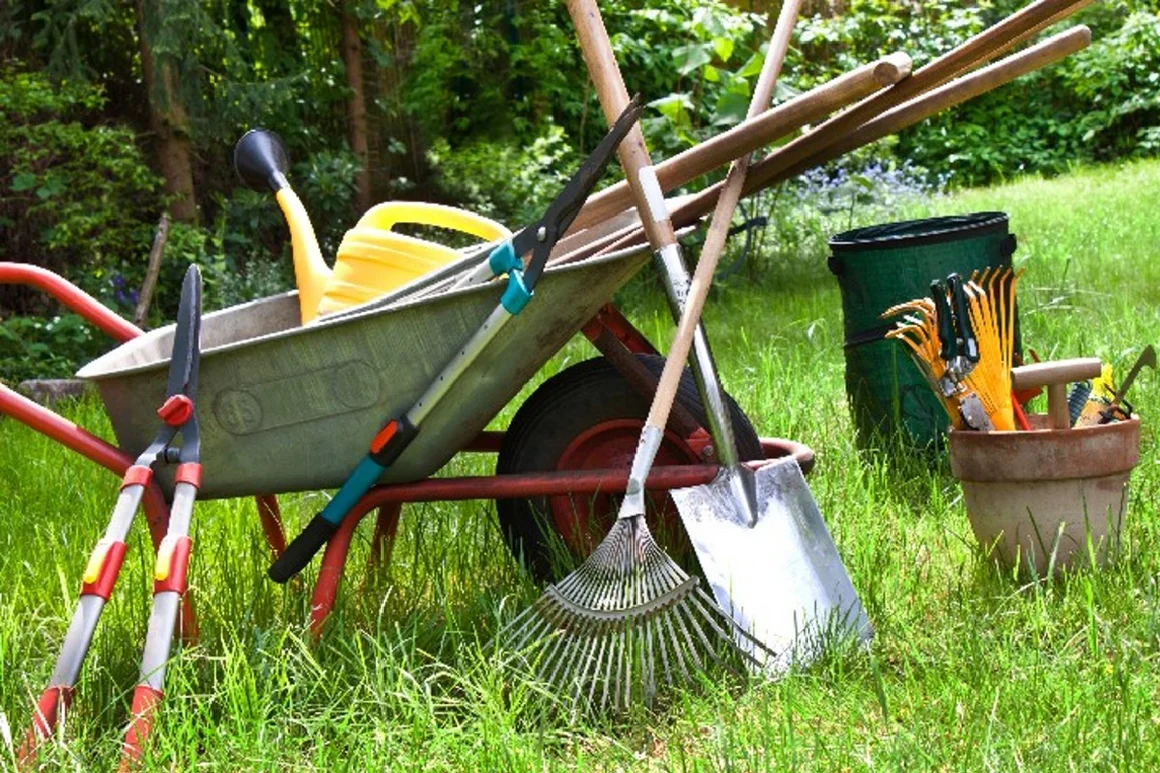 Gartenwerkzeug im Garten