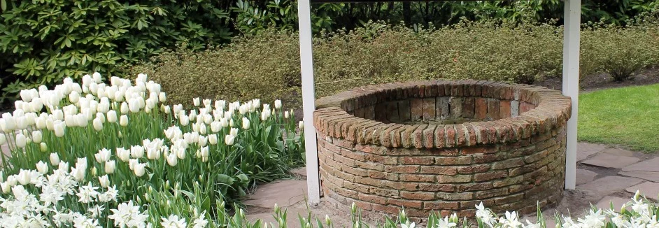 Ziegelbrunnen im Garten mit weißen Tulpen
