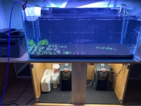 Aquarium mit Außenfilter und Zubehör