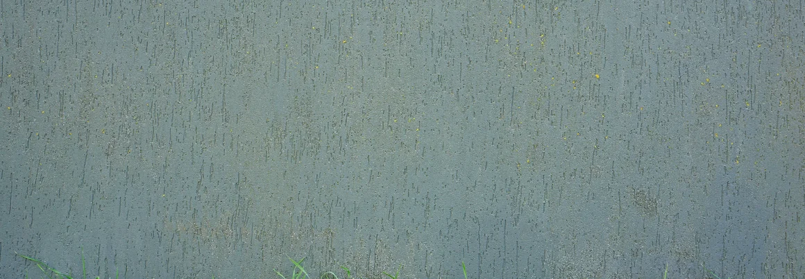 Eine graue Wand vor einem grünen Grasstreifen