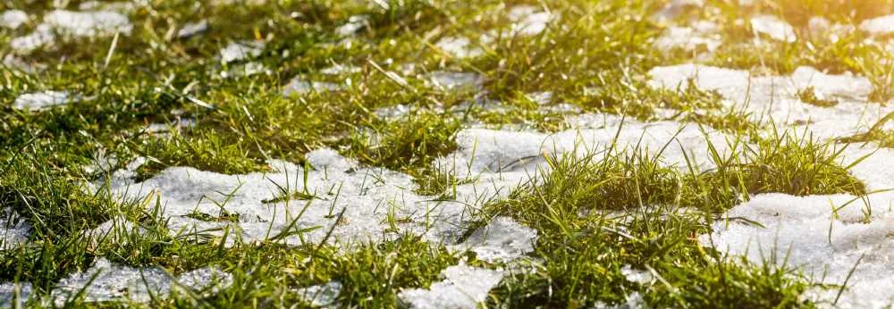 Schmelzender Schnee auf grünem Gras