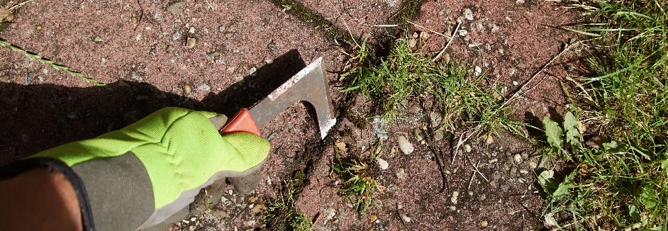 Hand entfernt Unkraut mit Fugenkratzer
