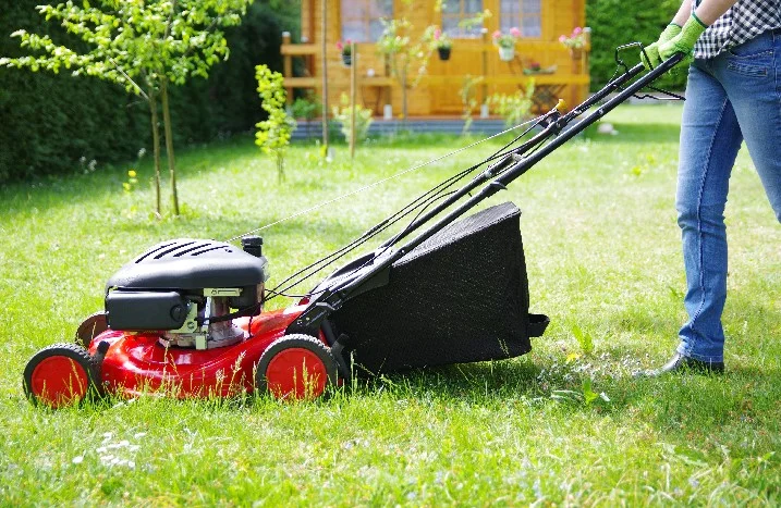 Person mäht Rasen mit Rasenmäher