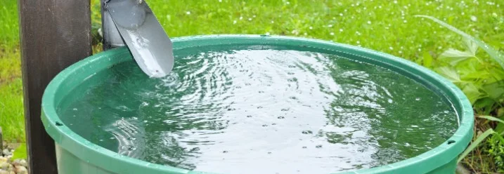 Regentonne sammelt Wasser aus Fallrohr