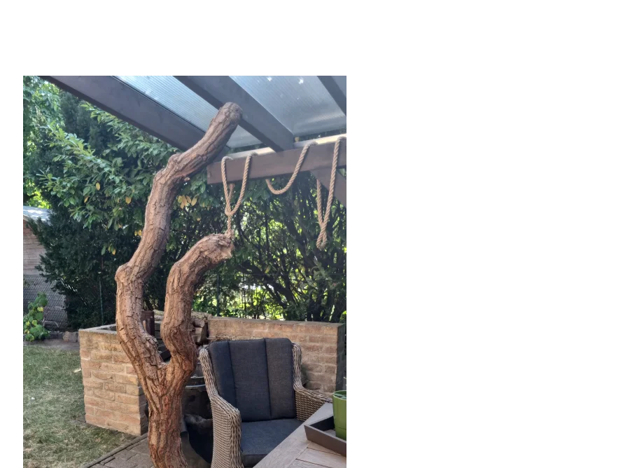 Gartenmöbel unter Pergola