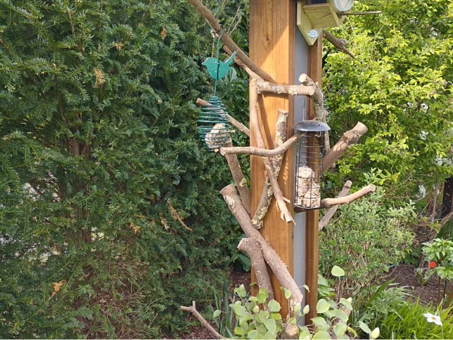 Vogelhäuschen an einem Holzpfahl