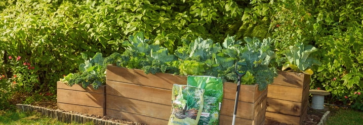 Hochbeet im Garten