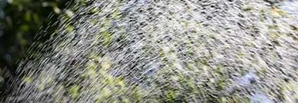 Wasserstrahl aus einem Schlauch