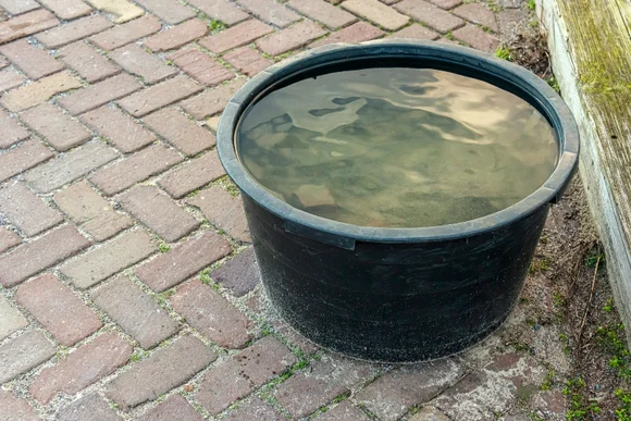Schwarzer Eimer mit Wasser