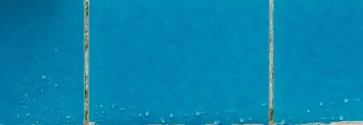 Verschimmelte Fliesenfugen in einem Badezimmer