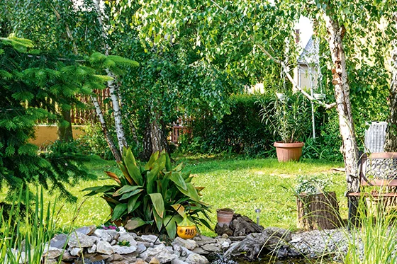 Gartenteich mit Wasserfall und Goldfischen