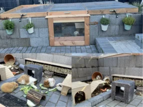 Meerschweinchengehege im Garten
