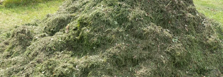 Ein Haufen gemähtes Gras