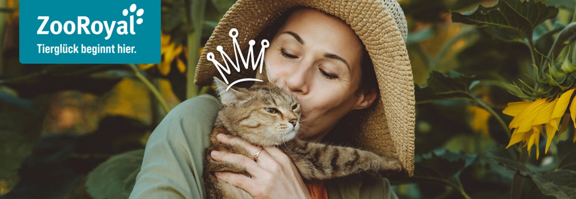 Mensch mit Strohhut küsst eine Katze mit einer gezeichneten Krone vor Sonnenblumen.