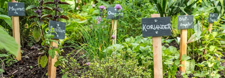 Kräuterbeet mit beschrifteten Schildern