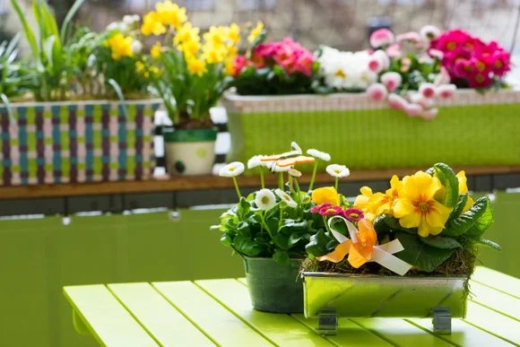 Blumen auf einem Balkon