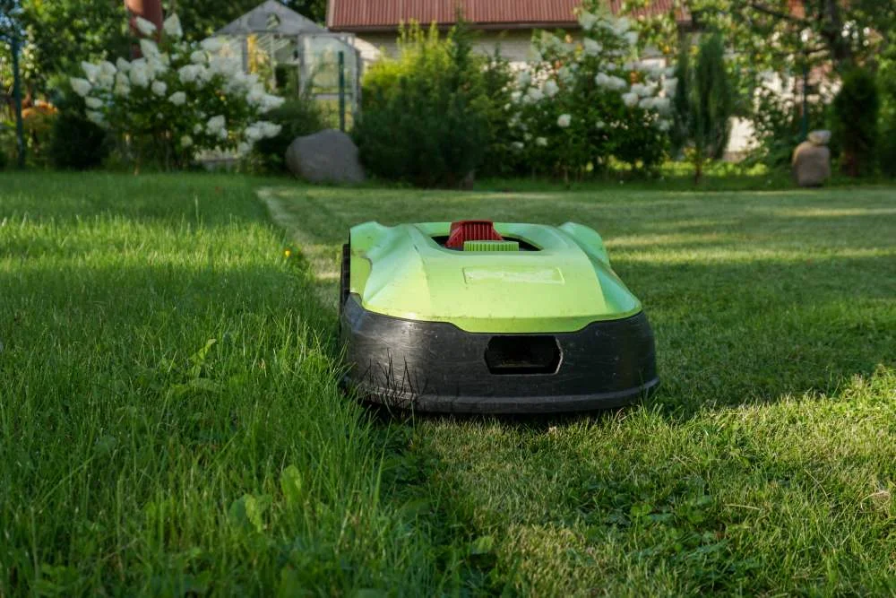 Ein Mähroboter mäht den Rasen im Garten.