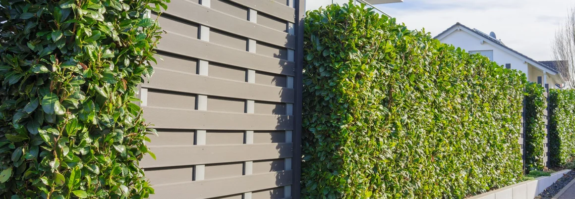 Hecke und Holzzaun