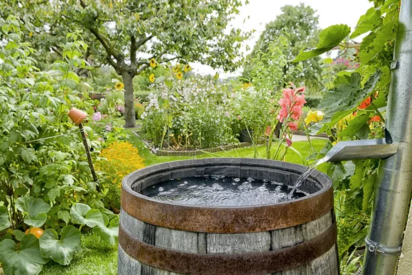 Regentonne im Garten