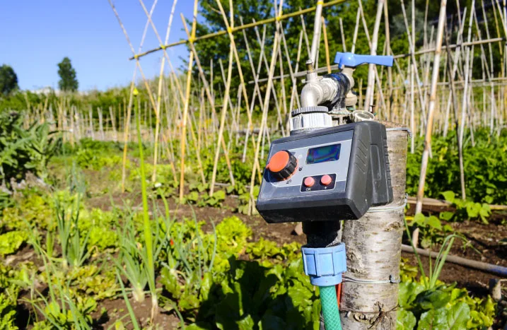 Gartenbewässerung mit Zeitschaltuhr