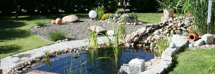 Ein kleiner Teich in einem Garten