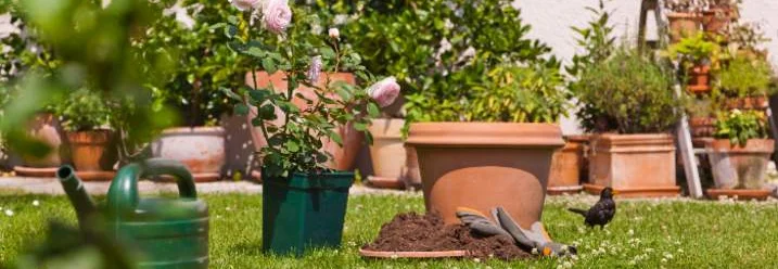 Gartenarbeit mit Gießkanne und Handschuhen