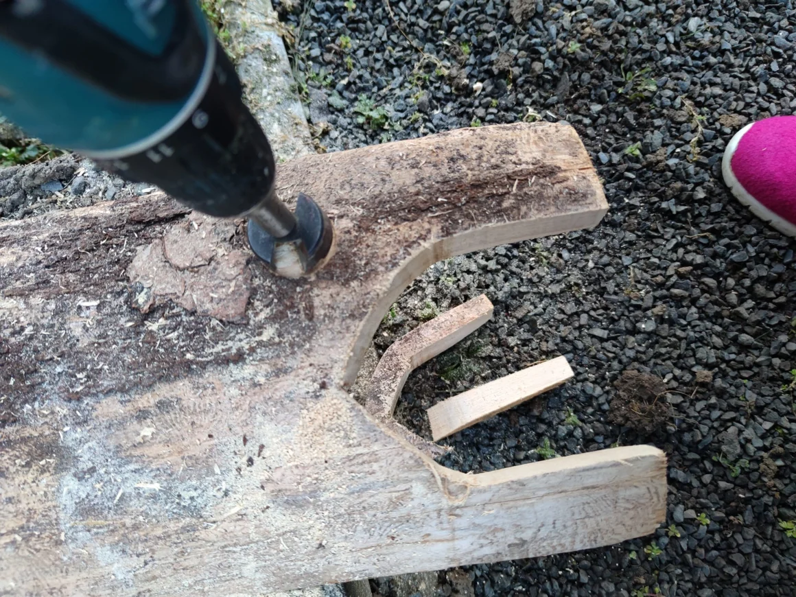 Ein Akkuschrauber bohrt mit einem Forstnerbohrer ein Loch in ein Holzbrett.