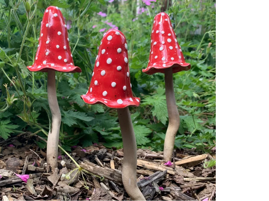 Drei rote Pilze mit weißen Punkten
