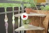 Hängeregal aus Holz mit Kräutern