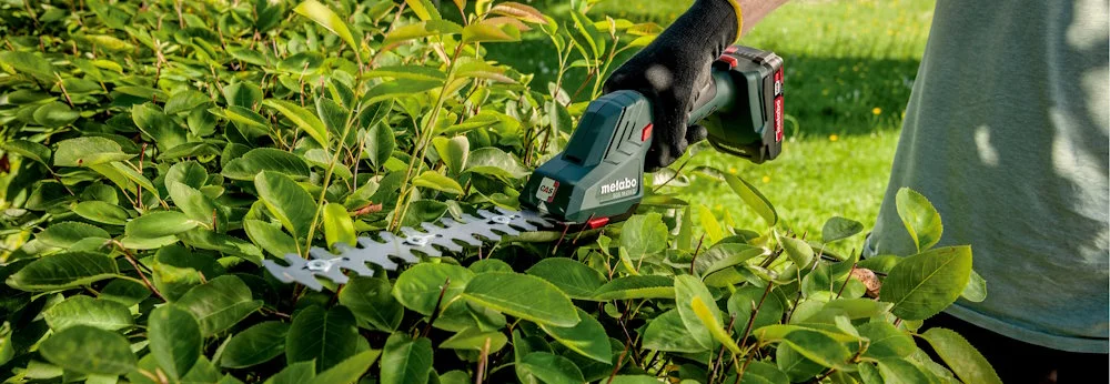 Person schneidet Hecke mit Heckenschere