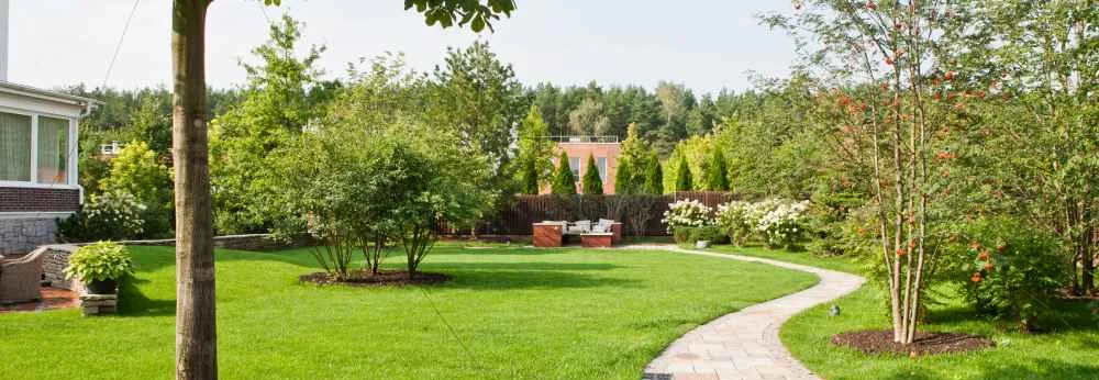 Gepflegter Garten mit Rasen, Bäumen und einem geschwungenen Plattenweg.