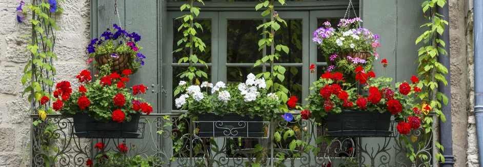 Blumenkästen an einem Fenster