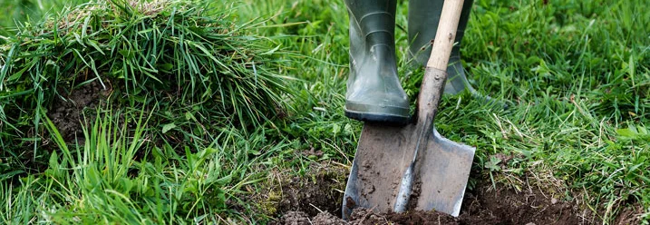 Person mit Spaten sticht Gras aus