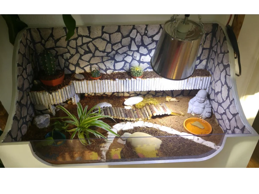 Schildkröten Terrarium