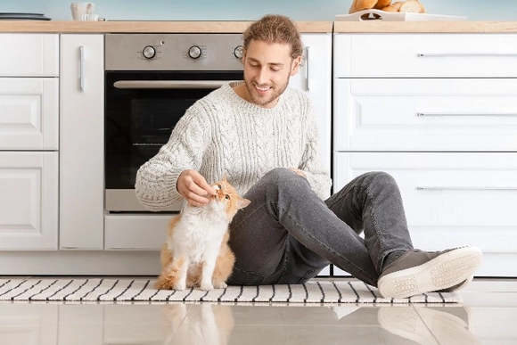 Eine Person sitzt auf dem Boden und füttert eine Katze mit einem Leckerli.