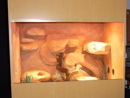 Leeres Terrarium mit Rückwand aus Lehm