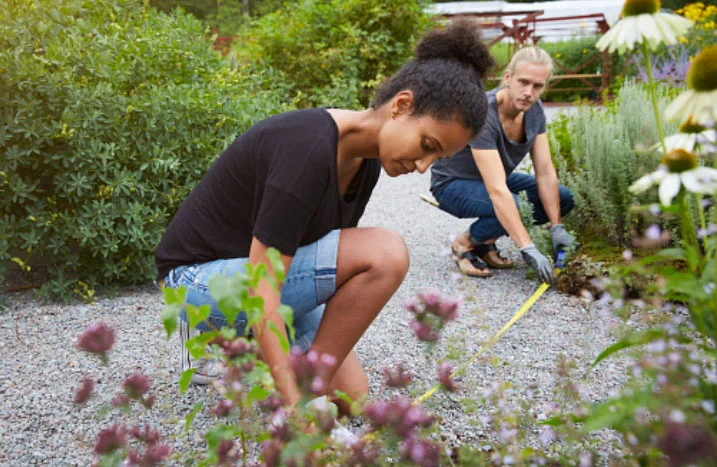 Zwei Personen beim Vermessen eines Gartenbeets
