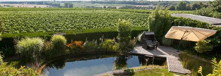 Schwimmteich im Garten
