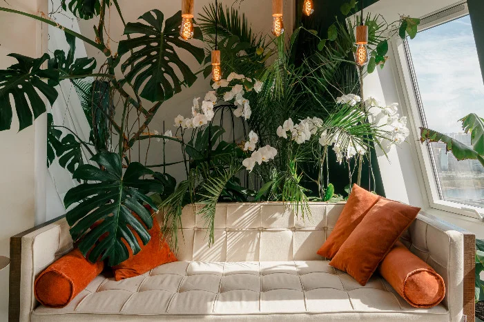 Helles Sofa mit vielen Pflanzen